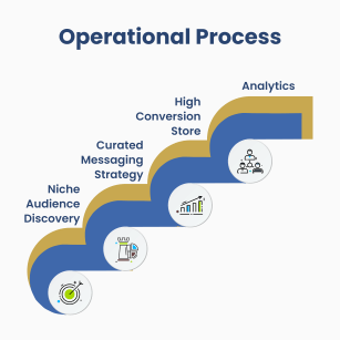 Diagram titled 'Operational Process' showing the Curated Conversion Loop. The process flows through the four controlled phases of the Tyche Plutus performance model: Niche Audience Discovery, Curated Messaging Strategy, High Conversion Store deployment, and continuous monitoring via Analytics.